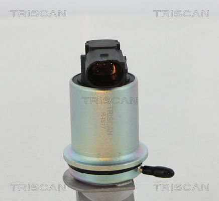 AGR-Ventil Triscan 8813 29066 von Triscan