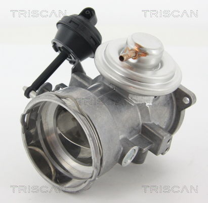AGR-Ventil Triscan 8813 29070 von Triscan