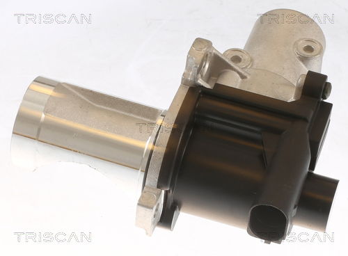 AGR-Ventil Triscan 8813 29101 von Triscan
