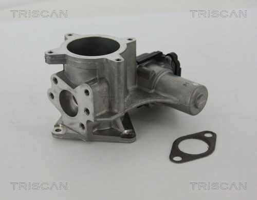 AGR-Ventil Triscan 8813 29105 AGR-Ventil Triscan 8813 29105 von Triscan