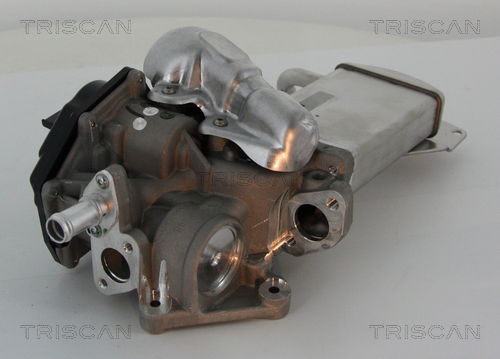 AGR-Ventil Triscan 8813 29304 AGR-Ventil Triscan 8813 29304 von Triscan