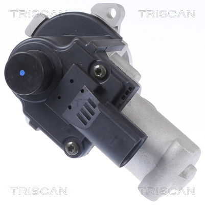 AGR-Ventil Triscan 8813 29310 AGR-Ventil Triscan 8813 29310 von Triscan