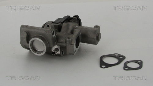 AGR-Ventil Triscan 8813 29312 AGR-Ventil Triscan 8813 29312 von Triscan