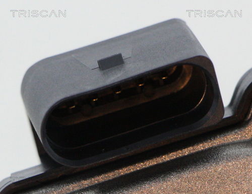 AGR-Ventil Triscan 8813 29316 AGR-Ventil Triscan 8813 29316 von Triscan