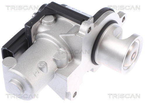 AGR-Ventil Triscan 8813 29338 AGR-Ventil Triscan 8813 29338 von Triscan