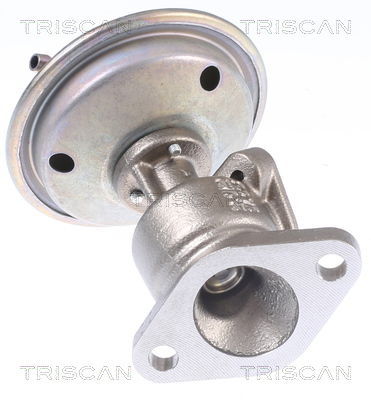 AGR-Ventil Triscan 8813 29340 AGR-Ventil Triscan 8813 29340 von Triscan
