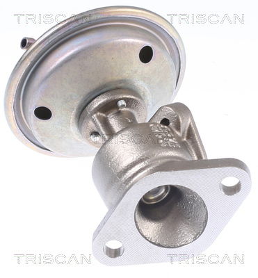 AGR-Ventil Triscan 8813 29340 von Triscan