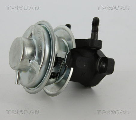 AGR-Ventil Triscan 8813 43008 AGR-Ventil Triscan 8813 43008 von Triscan