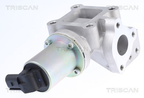 AGR-Ventil Triscan 8813 43015 von Triscan