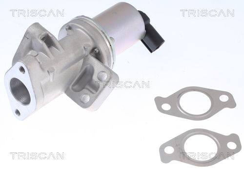 AGR-Ventil Triscan 8813 43024 von Triscan