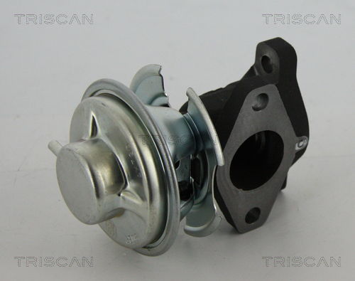 AGR-Ventil Triscan 8813 43201 AGR-Ventil Triscan 8813 43201 von Triscan