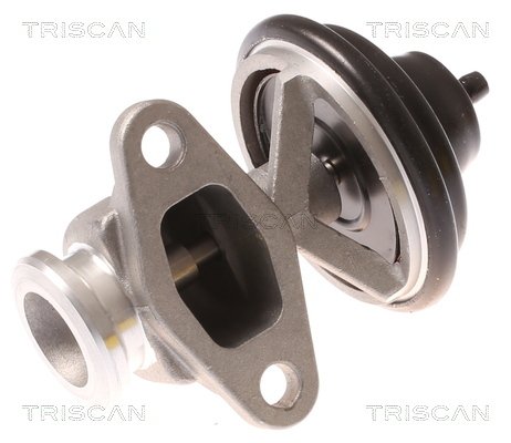 AGR-Ventil Triscan 8813 44015 von Triscan