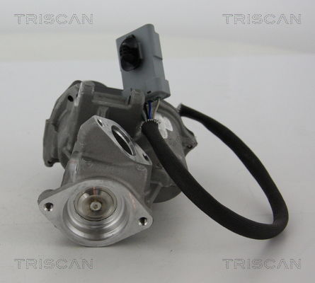 AGR-Ventil links Triscan 8813 17019 von Triscan