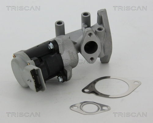 AGR-Ventil links Triscan 8813 17020 von Triscan