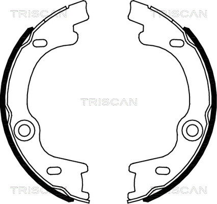 Bremsbackensatz, Feststellbremse Hinterachse Triscan 8100 18010 von Triscan