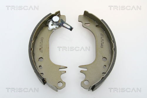 Bremsbackensatz Hinterachse Triscan 8100 10006 von Triscan