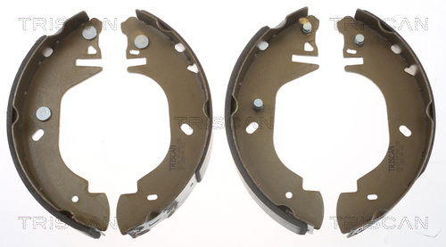 Bremsbackensatz Hinterachse Triscan 8100 16541 von Triscan