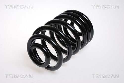 Fahrwerksfeder Hinterachse Triscan 8750 1007 Fahrwerksfeder Hinterachse Triscan 8750 1007 von Triscan