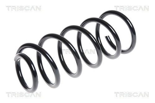 Fahrwerksfeder Hinterachse Triscan 8750 11106 Fahrwerksfeder Hinterachse Triscan 8750 11106 von Triscan