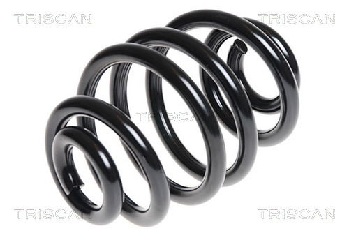 Fahrwerksfeder Hinterachse Triscan 8750 11109 von Triscan