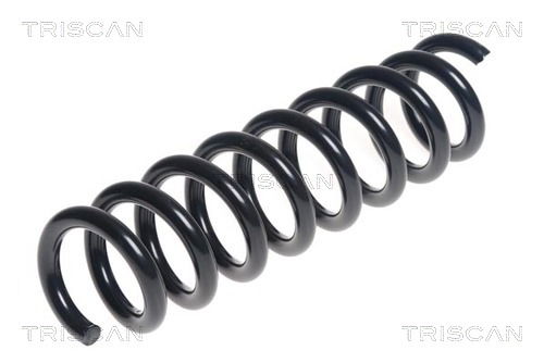 Fahrwerksfeder Hinterachse Triscan 8750 11198 Fahrwerksfeder Hinterachse Triscan 8750 11198 von Triscan