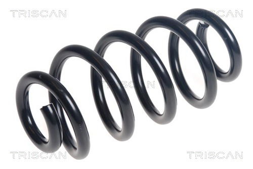 Fahrwerksfeder Hinterachse Triscan 8750 11249 Fahrwerksfeder Hinterachse Triscan 8750 11249 von Triscan