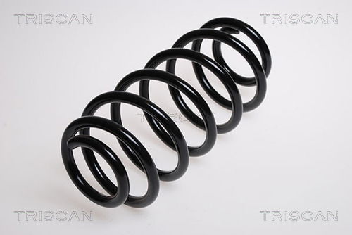 Fahrwerksfeder Hinterachse Triscan 8750 13106 Fahrwerksfeder Hinterachse Triscan 8750 13106 von Triscan