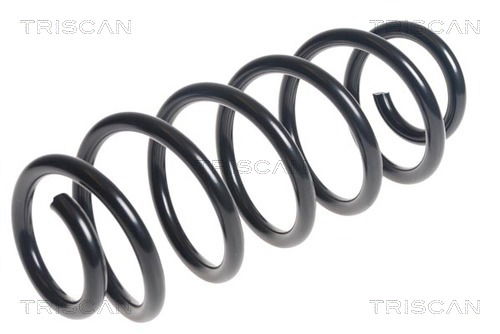 Fahrwerksfeder Hinterachse Triscan 8750 13197 Fahrwerksfeder Hinterachse Triscan 8750 13197 von Triscan