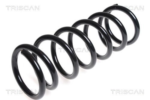 Fahrwerksfeder Hinterachse Triscan 8750 14103 von Triscan