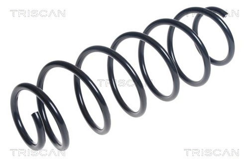 Fahrwerksfeder Hinterachse Triscan 8750 15190 Fahrwerksfeder Hinterachse Triscan 8750 15190 von Triscan