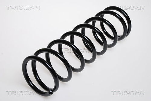 Fahrwerksfeder Hinterachse Triscan 8750 16007 Fahrwerksfeder Hinterachse Triscan 8750 16007 von Triscan