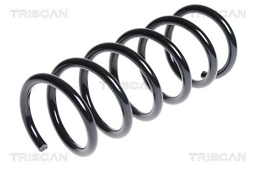 Fahrwerksfeder Hinterachse Triscan 8750 16083 Fahrwerksfeder Hinterachse Triscan 8750 16083 von Triscan