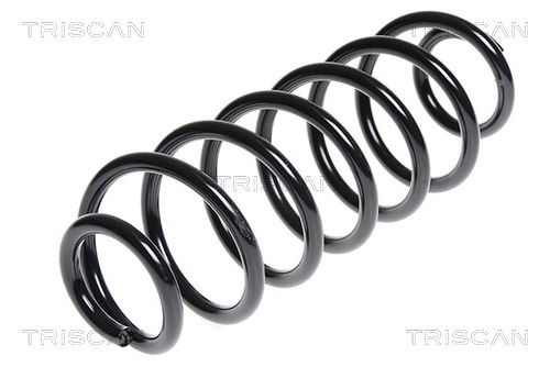 Fahrwerksfeder Hinterachse Triscan 8750 16084 Fahrwerksfeder Hinterachse Triscan 8750 16084 von Triscan