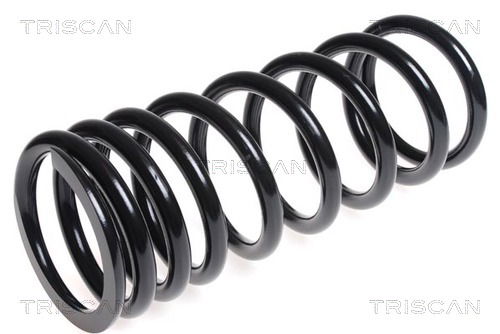 Fahrwerksfeder Hinterachse Triscan 8750 1745 Fahrwerksfeder Hinterachse Triscan 8750 1745 von Triscan