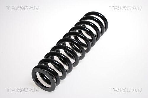 Fahrwerksfeder Hinterachse Triscan 8750 23100 Fahrwerksfeder Hinterachse Triscan 8750 23100 von Triscan