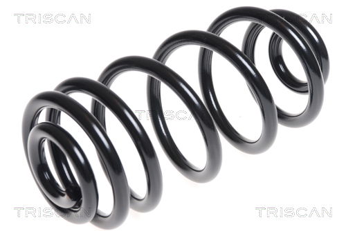Fahrwerksfeder Hinterachse Triscan 8750 24164 Fahrwerksfeder Hinterachse Triscan 8750 24164 von Triscan