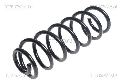 Fahrwerksfeder Hinterachse Triscan 8750 25122 Fahrwerksfeder Hinterachse Triscan 8750 25122 von Triscan