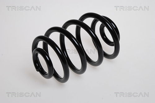 Fahrwerksfeder Hinterachse Triscan 8750 2524 Fahrwerksfeder Hinterachse Triscan 8750 2524 von Triscan