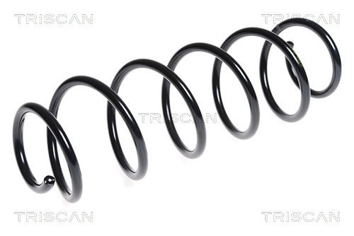 Fahrwerksfeder Hinterachse Triscan 8750 2582 Fahrwerksfeder Hinterachse Triscan 8750 2582 von Triscan