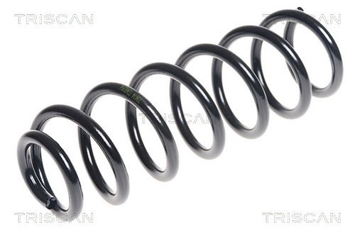 Fahrwerksfeder Hinterachse Triscan 8750 2599 Fahrwerksfeder Hinterachse Triscan 8750 2599 von Triscan