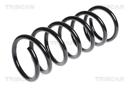 Fahrwerksfeder Hinterachse Triscan 8750 2787 Fahrwerksfeder Hinterachse Triscan 8750 2787 von Triscan