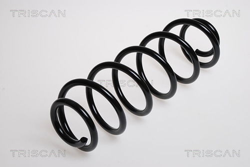 Fahrwerksfeder Hinterachse Triscan 8750 2876 Fahrwerksfeder Hinterachse Triscan 8750 2876 von Triscan