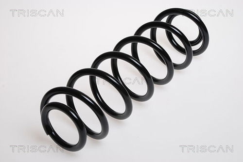 Fahrwerksfeder Hinterachse Triscan 8750 29038 von Triscan