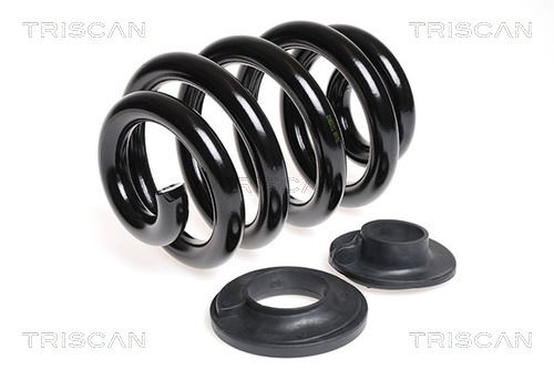 Fahrwerksfeder Hinterachse Triscan 8750 29152 Fahrwerksfeder Hinterachse Triscan 8750 29152 von Triscan