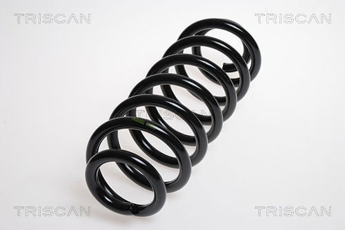 Fahrwerksfeder Hinterachse Triscan 8750 29175 Fahrwerksfeder Hinterachse Triscan 8750 29175 von Triscan