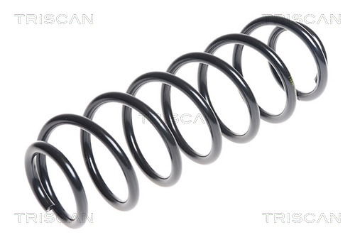 Fahrwerksfeder Hinterachse Triscan 8750 29298 Fahrwerksfeder Hinterachse Triscan 8750 29298 von Triscan