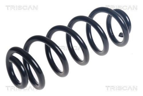 Fahrwerksfeder Hinterachse Triscan 8750 29506 Fahrwerksfeder Hinterachse Triscan 8750 29506 von Triscan