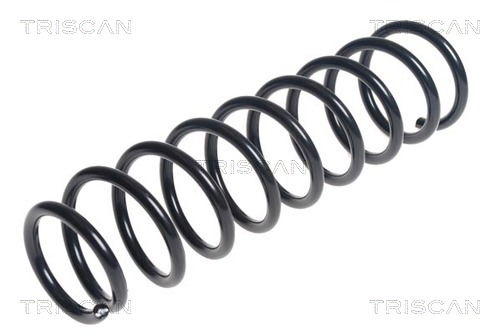 Fahrwerksfeder Hinterachse Triscan 8750 4297 Fahrwerksfeder Hinterachse Triscan 8750 4297 von Triscan