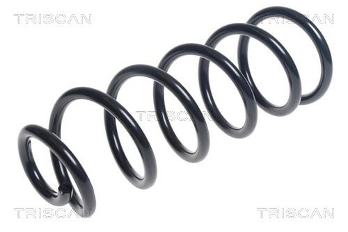 Fahrwerksfeder Hinterachse Triscan 8750 50113 Fahrwerksfeder Hinterachse Triscan 8750 50113 von Triscan