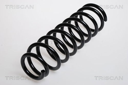 Fahrwerksfeder Hinterachse Triscan 8750 6916 Fahrwerksfeder Hinterachse Triscan 8750 6916 von Triscan